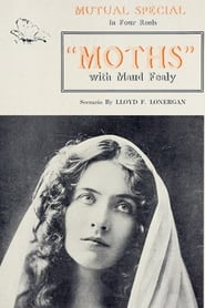Moths' Poster