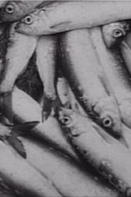 Herring Fishers' Poster