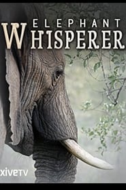 Elephant Whisperer' Poster