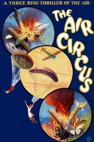 The Air Circus' Poster