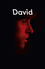 David' Poster