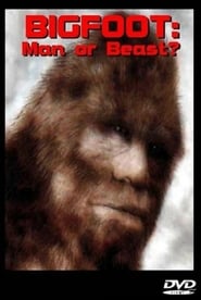 Bigfoot Man or Beast' Poster
