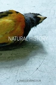 Natural History' Poster