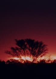 The Second Journey To Uluru' Poster