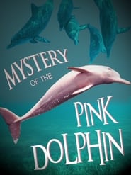 The Mystery of the Pink Dolphin' Poster