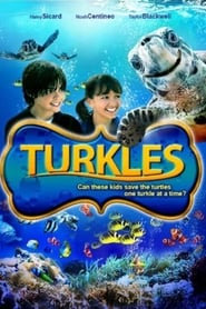 Turkles' Poster