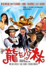 Dragon from Shaolin' Poster