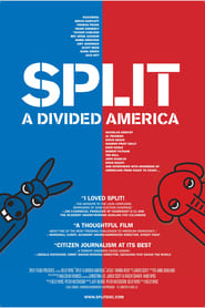 Split A Deeper Divide' Poster