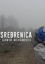 The Fog of Srebrenica' Poster