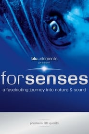 Forsenses  A Fascinating Journey into Nature  Sound' Poster