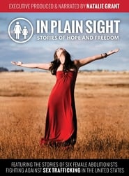 In Plain Sight Stories of Hope and Freedom' Poster
