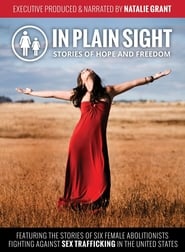 In Plain Sight Stories of Hope and Freedom