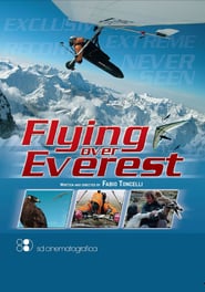 Flying over Everest' Poster