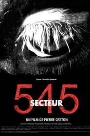 Secteur 545' Poster