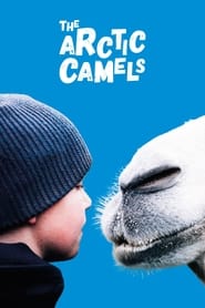 The Arctic Camels' Poster