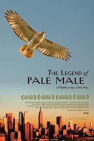 The Legend of Pale Male' Poster