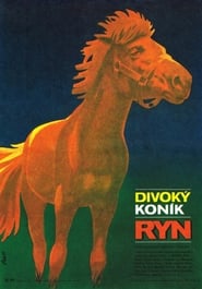 Divok konk Ryn' Poster
