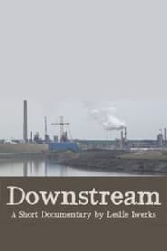 Downstream' Poster