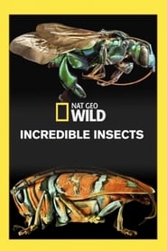 Incredible Insects' Poster