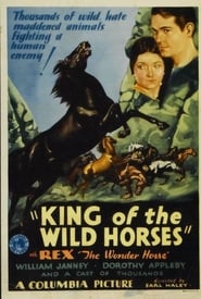 King of the Wild Horses' Poster