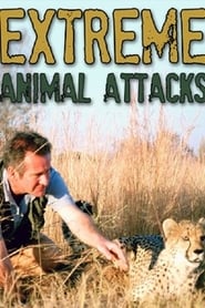 Extreme Animal Attacks' Poster