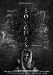 Boichek' Poster