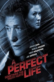 A Perfect Life' Poster