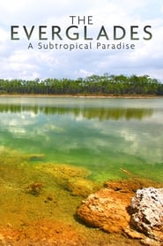 National Parks Exploration Series The Everglades' Poster