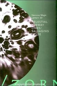 Celestial Subway LinesSalvaging Noise' Poster