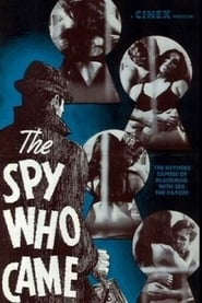 The Spy Who Came' Poster