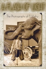 A Flash of Light The Photographs of EJ Kelty