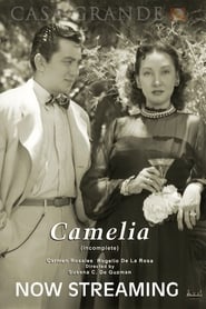 Camelia' Poster