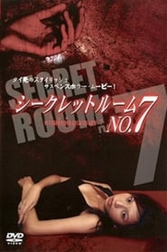 Secret Room No 7' Poster