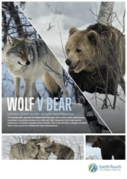 Wolf vs Bear' Poster