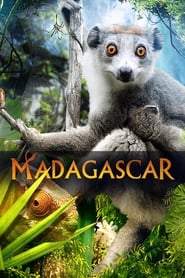 Streaming sources forMadagascar 3D