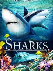 Sharks in 3D' Poster