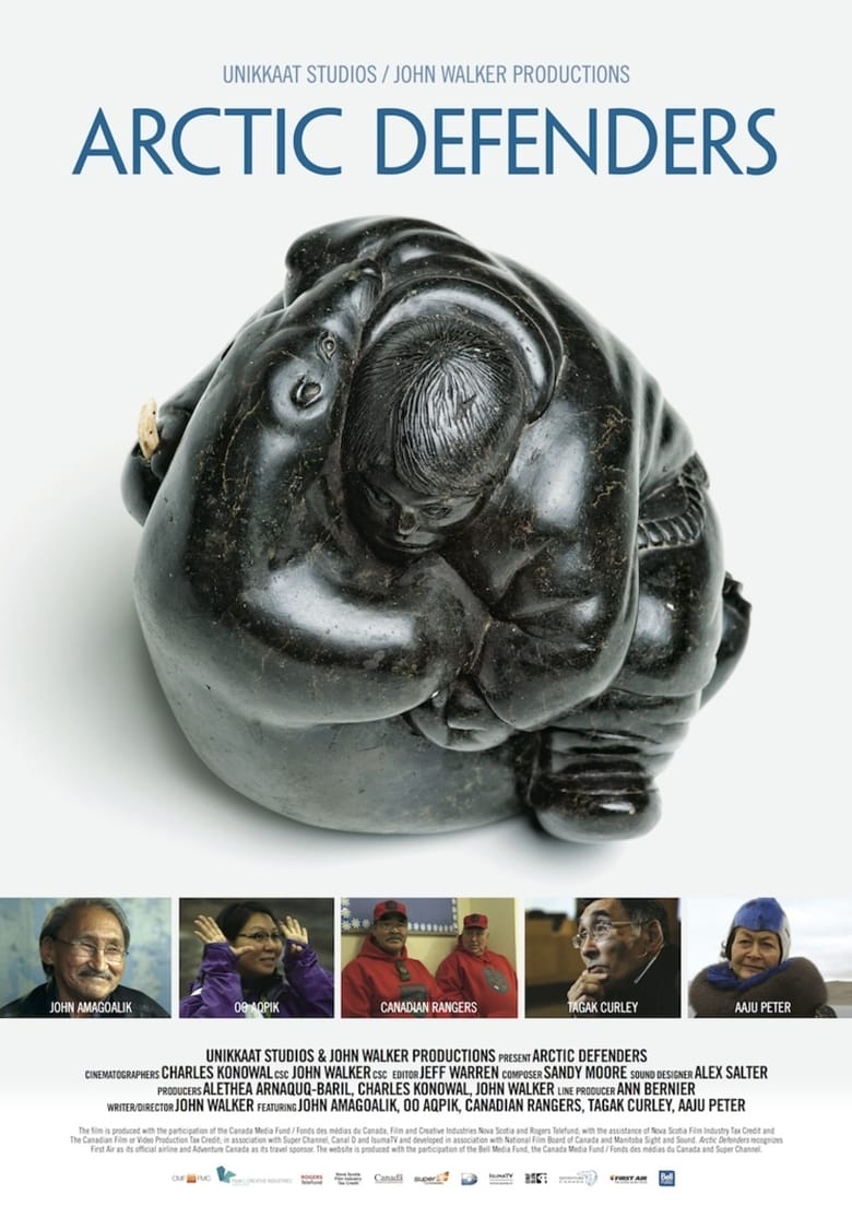 Arctic Defenders Poster