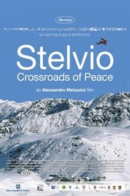 Stelvio Crossroads of Peace' Poster