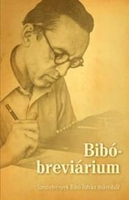 Istvan Bibos Fragments' Poster