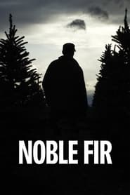 Noble Fir' Poster