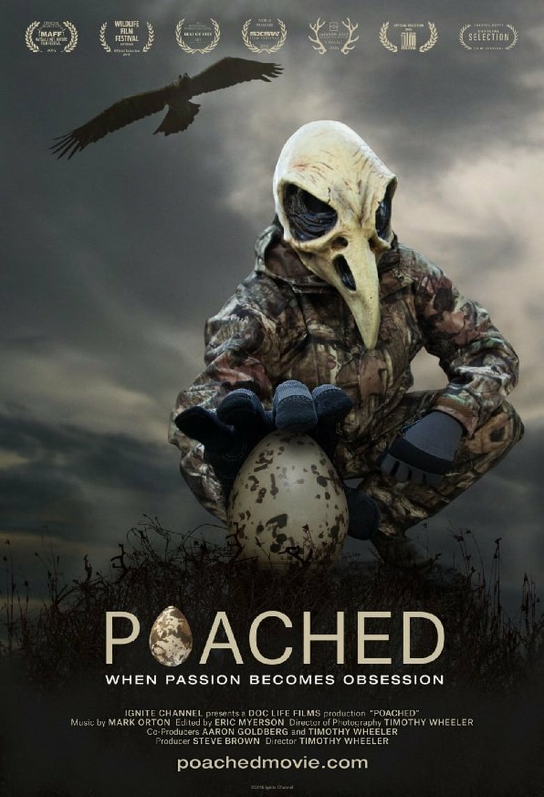 Poached Poster