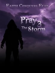 Pray 3D The Storm