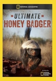 Ultimate Honey Badger' Poster