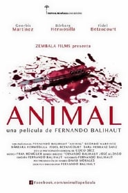 Animal' Poster