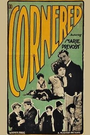 Cornered' Poster