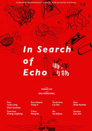 In Search Of Echo' Poster