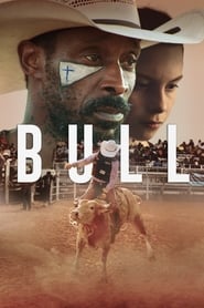 Bull' Poster