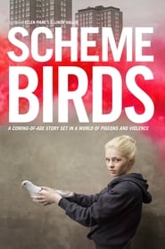 Scheme Birds' Poster