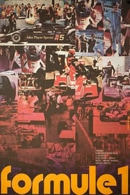 Formula 1  Speed fever' Poster
