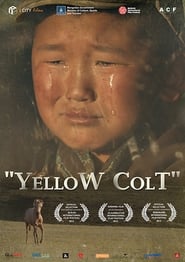 Yellow Colt' Poster